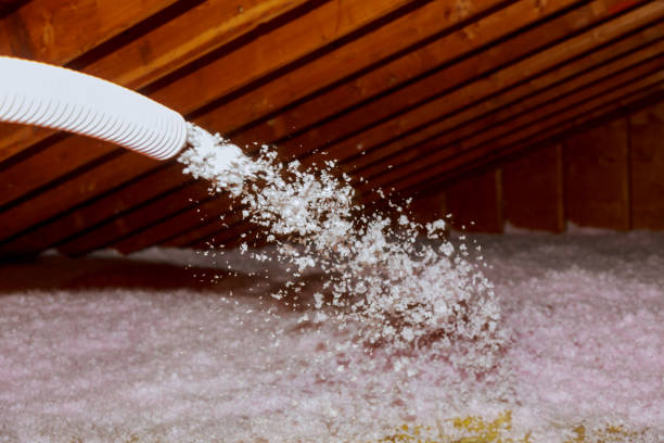 Best Types of Insulation in Potosi, TX